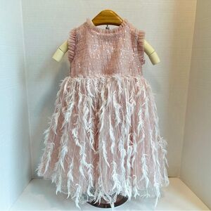 Pink Sequin Feather Dress size 4T lightly used